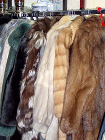 ��������� � ������� ������� �� ����: �����, �����, ���������� ������, ������, ��������.